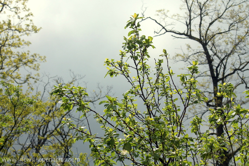 #100HappyDays – Day 50 – Good Friday