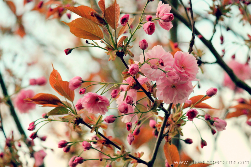 Five Minute Friday: Paint