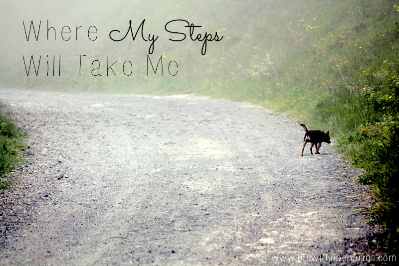 Where My Steps Will Take Me
