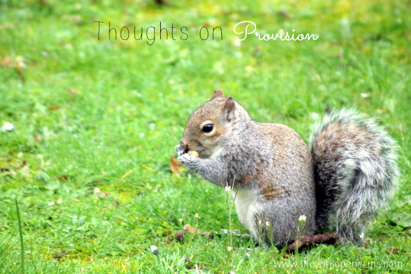 Thoughts on Provision